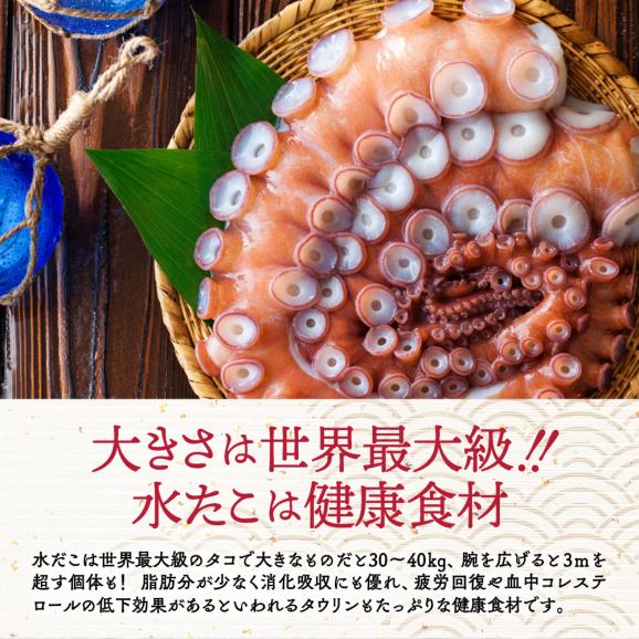 12-294 水だこ太足 小分け真空パック約700g~750g03