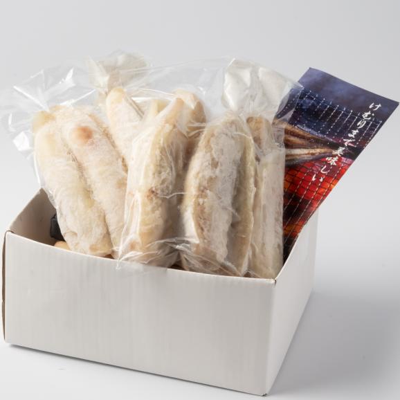 10-570 低温熟成真ふぐ1kg05