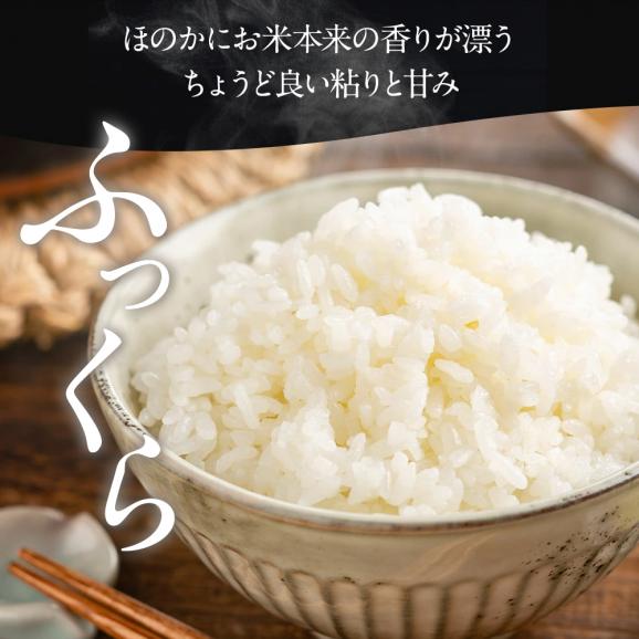 25-90 訳あり 紋太オリジナル米10kg(5kg×2) | 未検査米 わけあり ワケアリ 米 コメ 北海道06