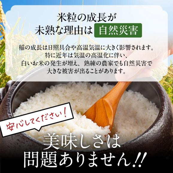 1-4 訳あり 北海道ブレンド米 2合(300g) 簡易包装 お試し03