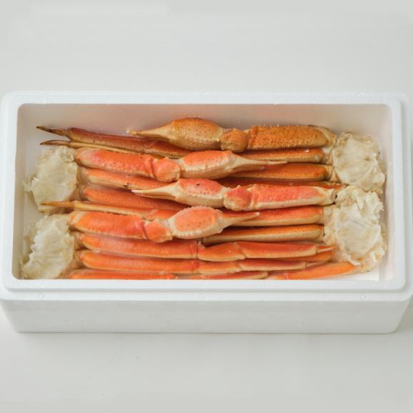 20-308 冷凍ボイルずわいがに切脚　1.5ｋｇ02