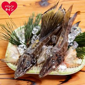 12-309 【バレンタインデー】オホーツク八角丸干し1kg