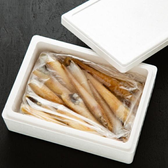 12-309 【バレンタインデー】オホーツク八角丸干し1kg05