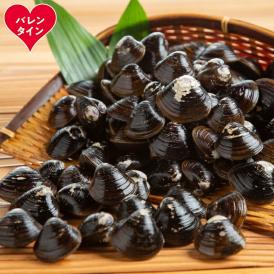 12-310 【バレンタインデー】冷凍砂出ししじみ　5袋セット