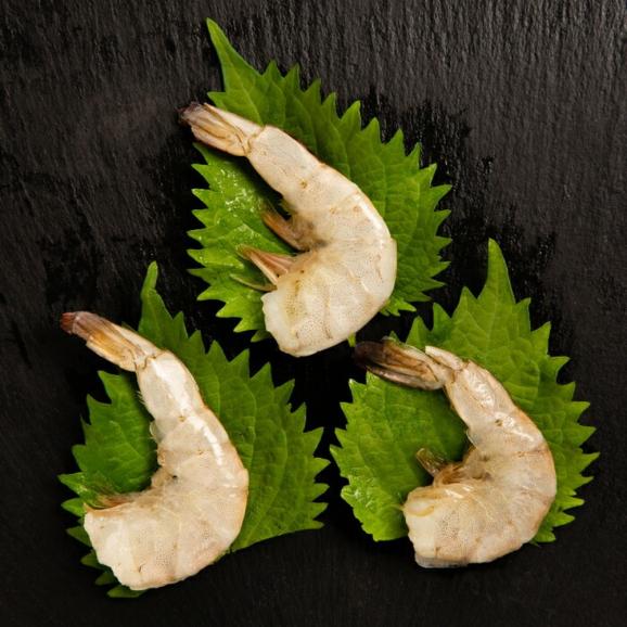 16-159 【バレンタインデー】どどーんとバナメイえび1.8kg04