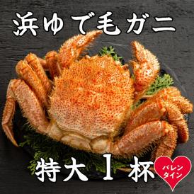 26-52 【バレンタインデー】流氷明け浜ゆで毛ガニ　特大1杯