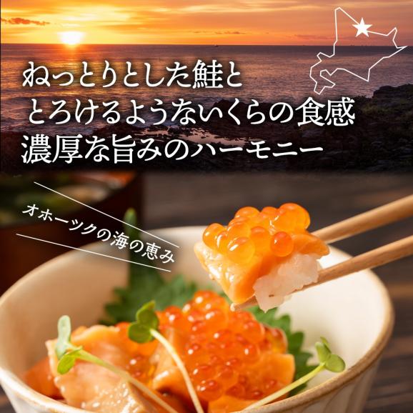 13-375 【バレンタインデー】北海道産鮭親子漬けプレミアム2個セット～いくら増量しました～05