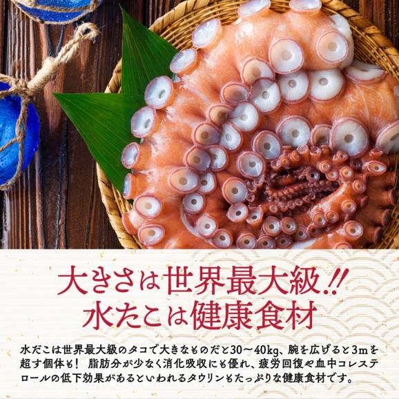 23-83 【バレンタインデー】水だこ太足 小分け真空パック約1.5kg04