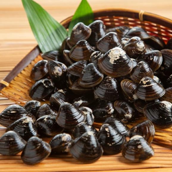 23-84 【ホワイトデー】真ほっけ一夜干し6枚と砂出ししじみ1.25kgセット04