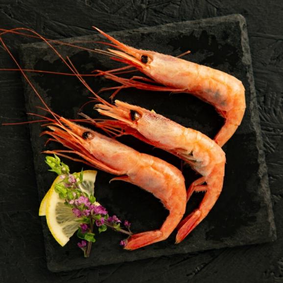 18-175 【ホワイトデー】どどーんと2kg甘えびセット03