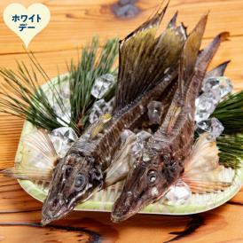 12-323 【ホワイトデー】オホーツク八角丸干し1kg