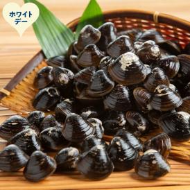 21-77 【ホワイトデー】冷凍砂出ししじみドーンと2.5kgセット