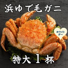 26-54 【ホワイトデー】流氷明け浜ゆで毛ガニ　特大1杯