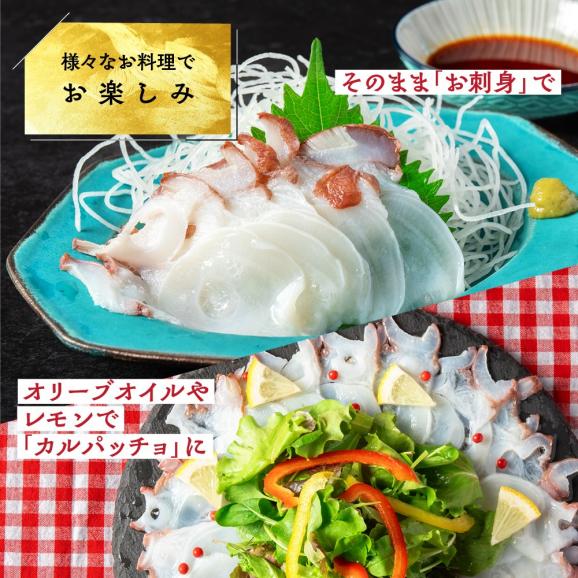 17-277 【ホワイトデー】水だこ太足 小分け真空パック約1kg05