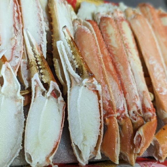 18-167 【バレンタインデー】ボイル本ずわいがにハーフポーション(総重量　約900ｇ前後)03