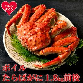 70-73 【バレンタインデー】ボイルたらばがに姿1尾 1.8kg前後