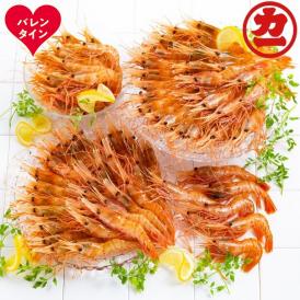 65-14 【バレンタインデー】どどーんと２kgぼたんえびセット