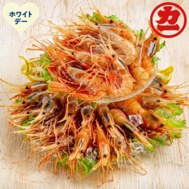 34-41 【ホワイトデー】ぼたんえびセット1kg
