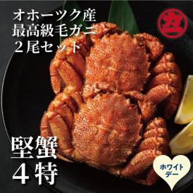 36-40 【ホワイトデー】ボイル毛がに(約440g～570g)×2尾