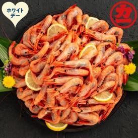 14-252 【ホワイトデー】甘えび（大）1kg