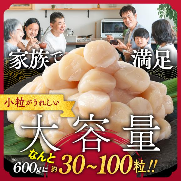 14-256 【訳あり】北海道オホーツク産ホタテ貝柱(生食用)小粒大入 600g | サイズ不揃い ワケアリ 訳あり ほたて ホタテ 帆立 貝柱 玉冷02