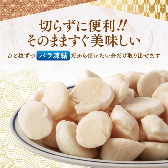 14-256 【訳あり】北海道オホーツク産ホタテ貝柱(生食用)小粒大入 600g | サイズ不揃い ワケアリ 訳あり ほたて ホタテ 帆立 貝柱 玉冷03