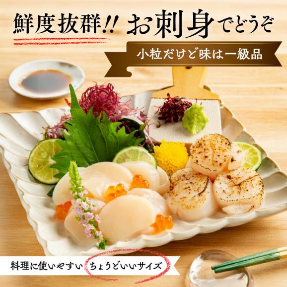14-256 【訳あり】北海道オホーツク産ホタテ貝柱(生食用)小粒大入 600g | サイズ不揃い ワケアリ 訳あり ほたて ホタテ 帆立 貝柱 玉冷04