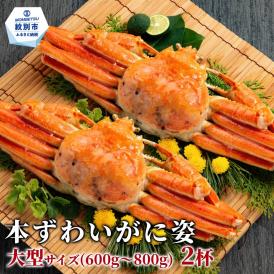22-153 本ずわいがに姿 大型サイズ2杯 約600～800g