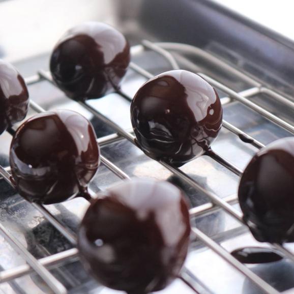 12-332 麹のトリュフ10個入り05