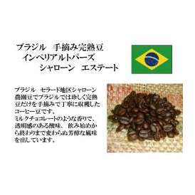 メール便　送料無料　ブラジル　手摘完熟豆セラード地区契約農園豆　300g　レギュラーコーヒー　コーヒー　コーヒー豆