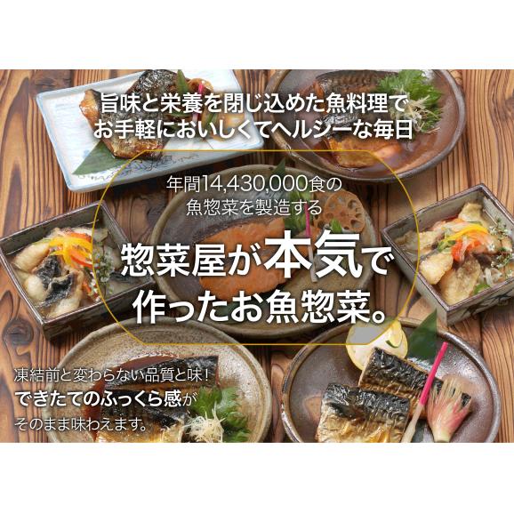 ふっくらこだわりのお魚惣菜詰め合わせ10品セット【送料無料】02