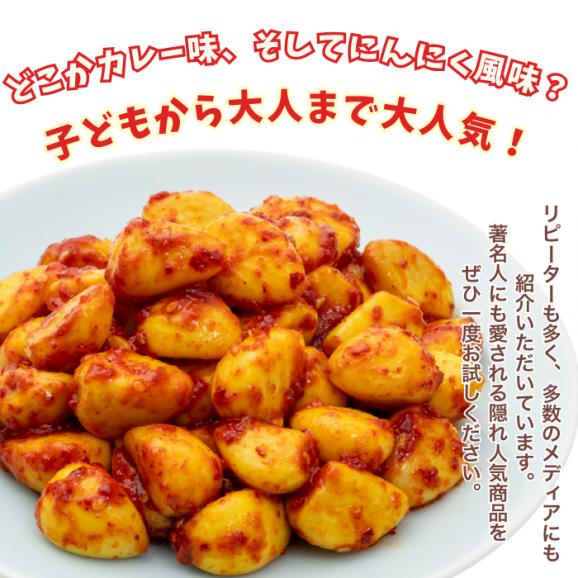 カレーにんにくキムチ300ｇ【1日20個限定】シャキシャキ食感のにんにくとカレー風味の新感覚キムチ！ (code:184009)02