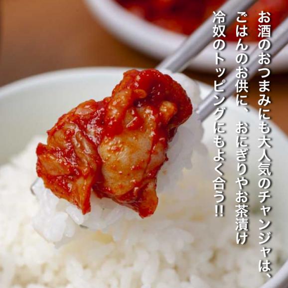チャンジャ300g『めざましどようびで紹介！』【数量限定】厳選したタラの胃袋使用の絶品チャンジャ03