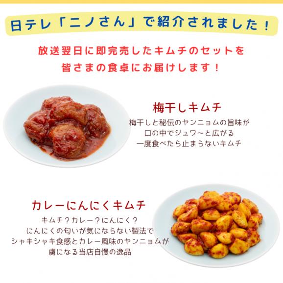 メディア紹介☆選りすぐりキムチセット【送料込み】(code:424351)02