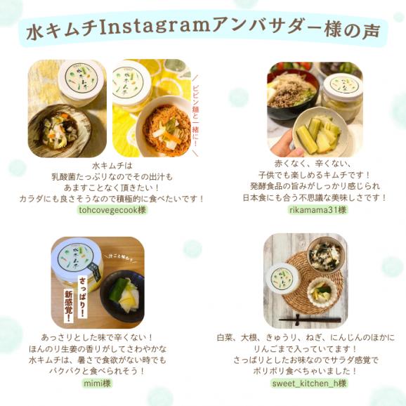 キムチ3種セット【送料込み】04