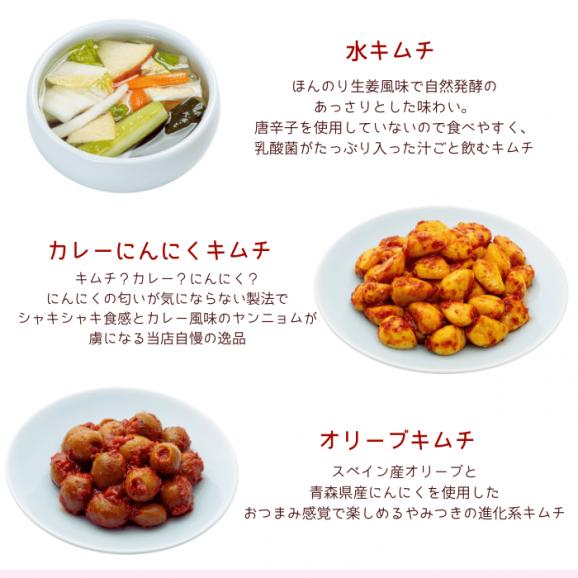キムチ5種セット【送料込み】03