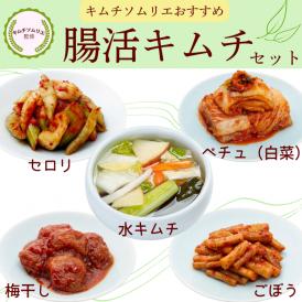 腸活キムチセット　【送料込み】