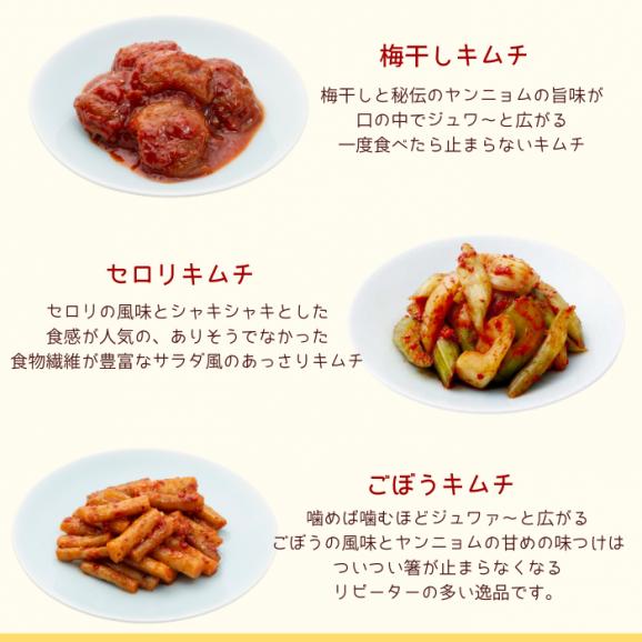 腸活キムチセット　【送料込み】03