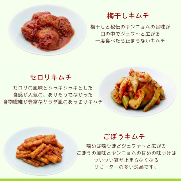 腸活キムチセット　【送料込み】03