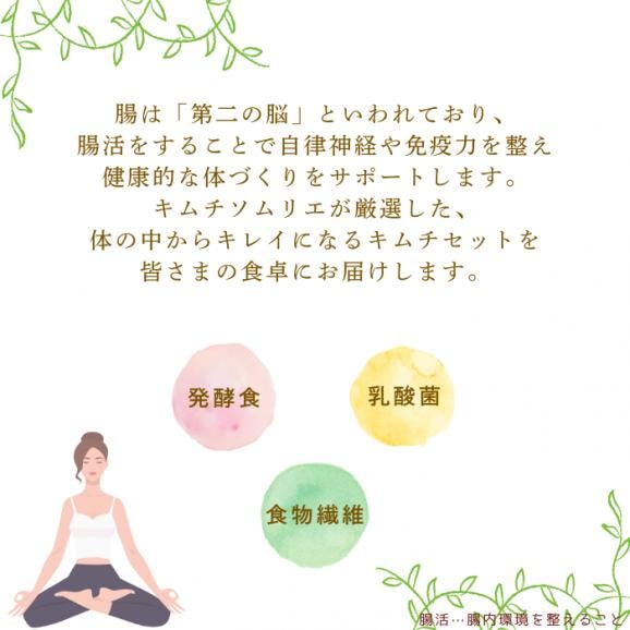 腸活キムチセット　【送料込み】04