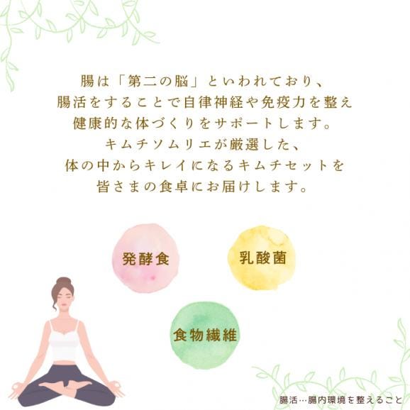 腸活キムチセット　【送料込み】04