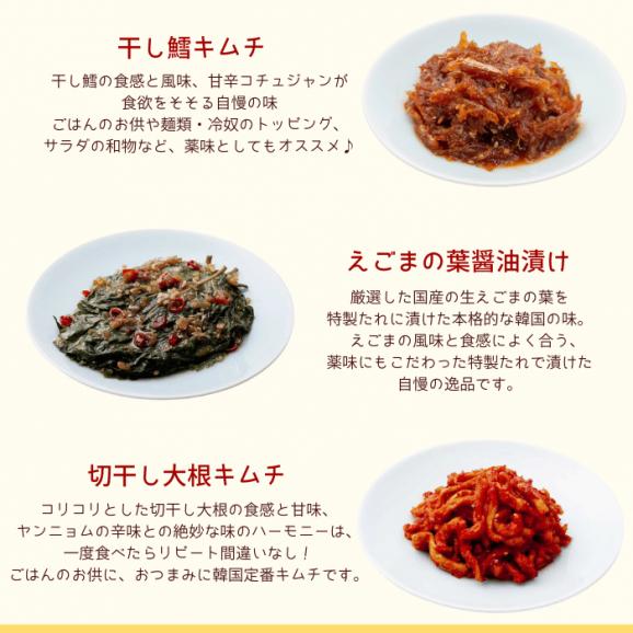 キムチ6種セット「ごはんにあうおかずキムチ」【送料込み】03