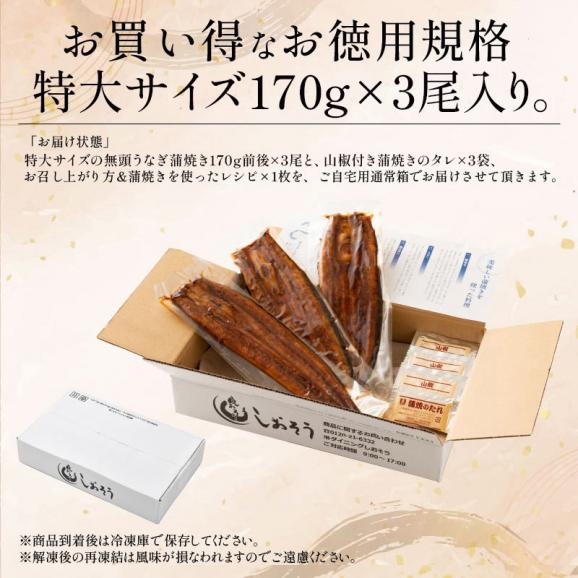 うなぎ 蒲焼き 国産 無頭 特大サイズ 170g前後×3尾 鰻 ウナギ 国産鰻 化粧箱 プレゼント［送料無料］ うなぎの蒲焼 蒲焼 うなぎ蒲焼 国産うなぎ 鰻蒲焼 国産うなぎ蒲焼 贈り物 06