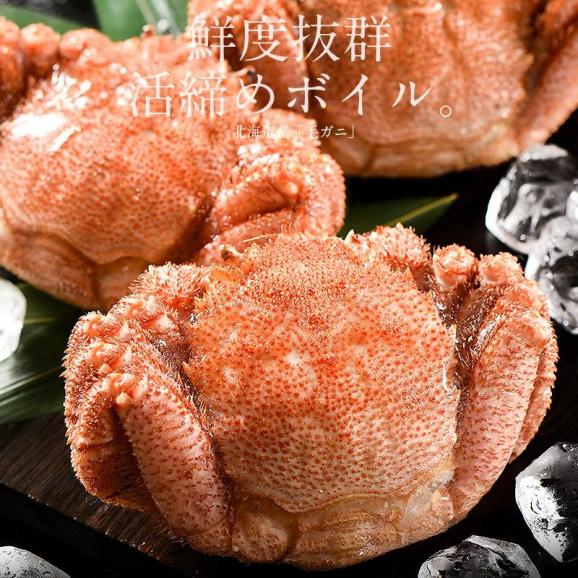かに カニ 蟹 毛蟹 毛がに 毛ガニ 400g前後×3尾 北海道産 冬グルメ 冬ギフト02