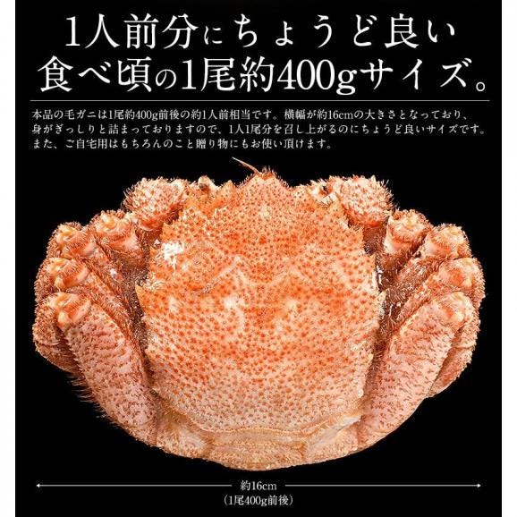 かに カニ 蟹 毛蟹 毛がに 毛ガニ 400g前後×3尾 北海道産 冬グルメ 冬ギフト06