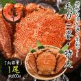 かに カニ 蟹 毛蟹 毛がに 毛ガニ 800g前後×1尾 北海道産 冬グルメ 冬ギフト