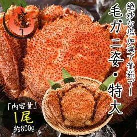 かに カニ 蟹 毛蟹 毛がに 毛ガニ 800g前後×1尾 北海道産 冬グルメ 冬ギフト