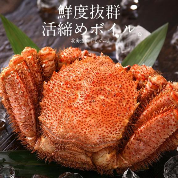 かに カニ 蟹 毛蟹 毛がに 毛ガニ 800g前後×1尾 北海道産 冬グルメ 冬ギフト02