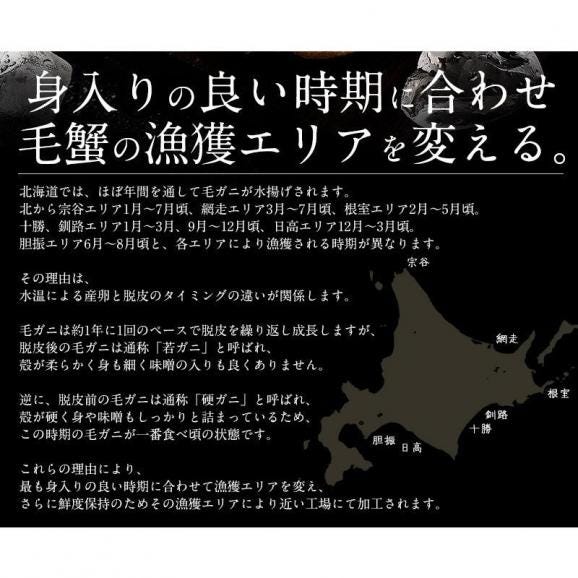 かに カニ 蟹 毛蟹 毛がに 毛ガニ 800g前後×1尾 北海道産 冬グルメ 冬ギフト03