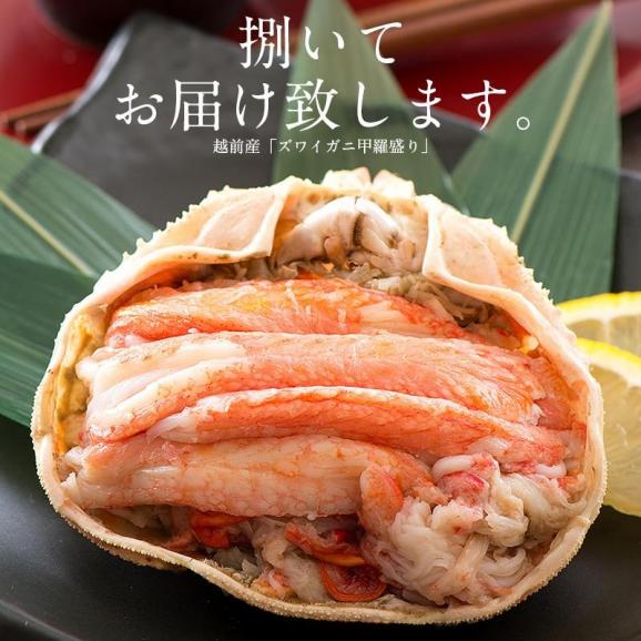 越前産ズワイガニ 甲羅盛り 中サイズ×1個（甲羅横幅 約11cm）越前産 ずわい蟹02
